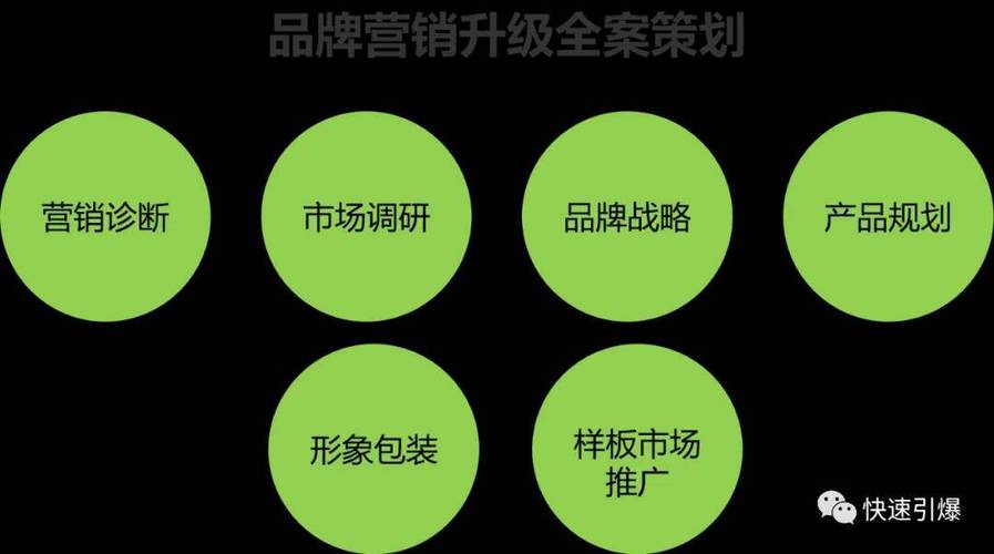 品牌战略,产品规划,形象包装,样板市场推广进行品牌营销升级全案策划