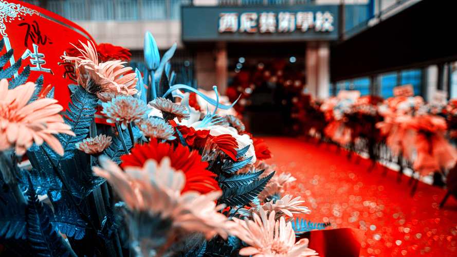 经营范围包括:文化艺术咨询服务;企业管理咨询服务;企业形象策划服务